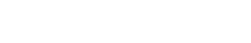 pptsg footer logo